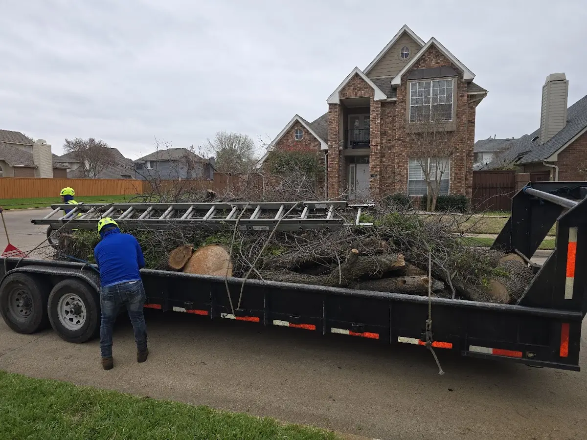 Expert Tree Fertilization with proper safety equipment in Loraine